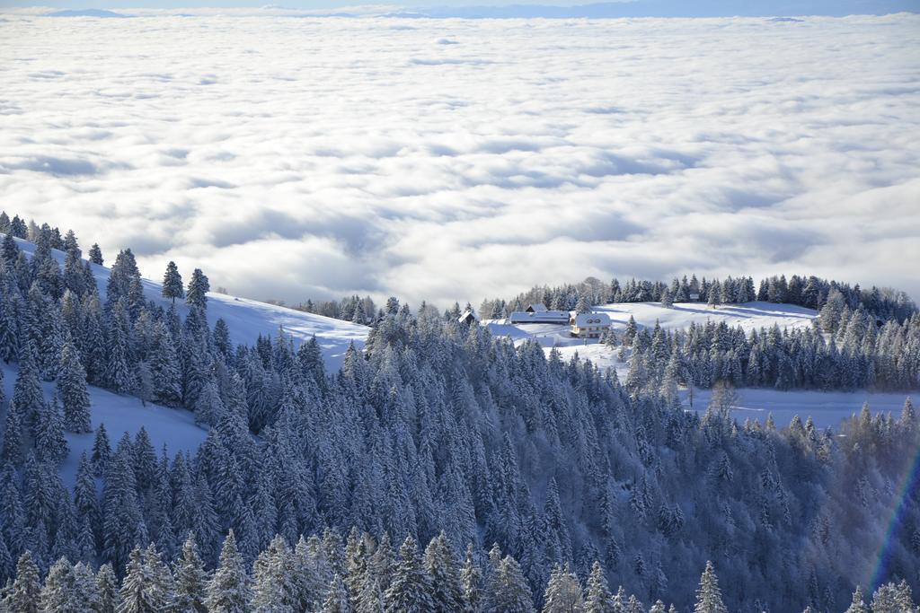 Ekoturizem Vizencar Cerklje na Gorenjskem Exterior foto