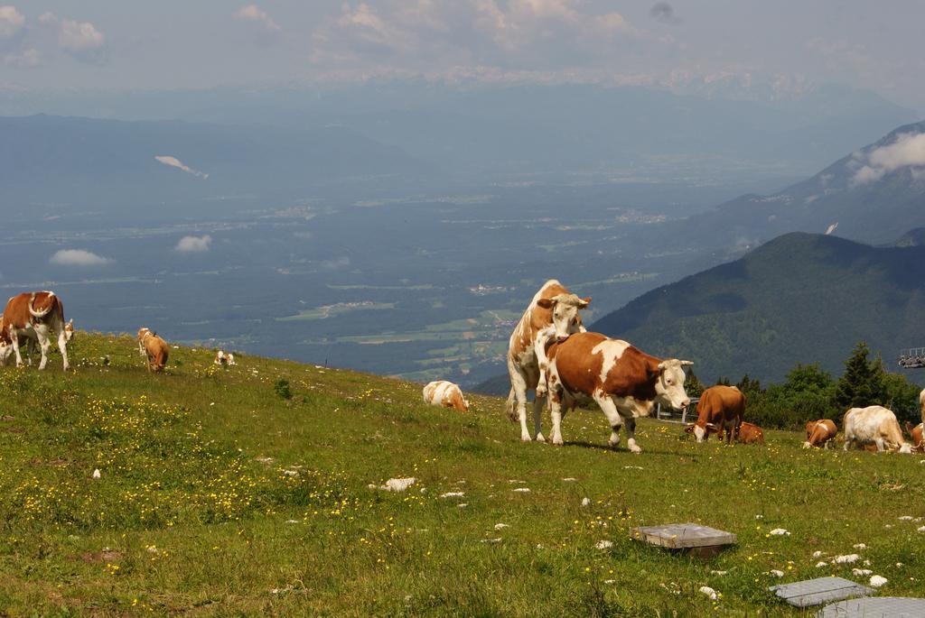 Ekoturizem Vizencar Cerklje na Gorenjskem Exterior foto